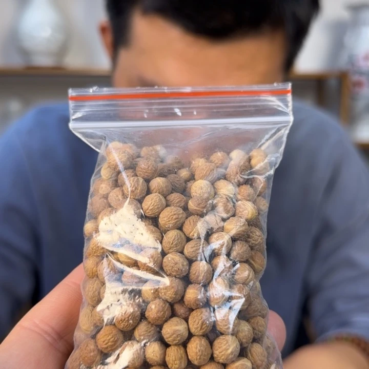 善***缘莲花菩提吊坠酸枣核散籽 未打孔