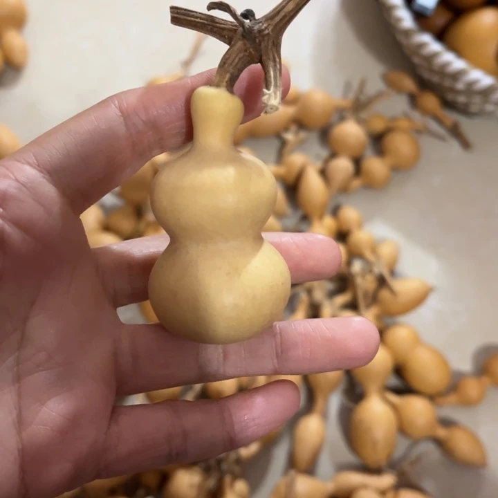 葫芦葫芦葫芦葫芦