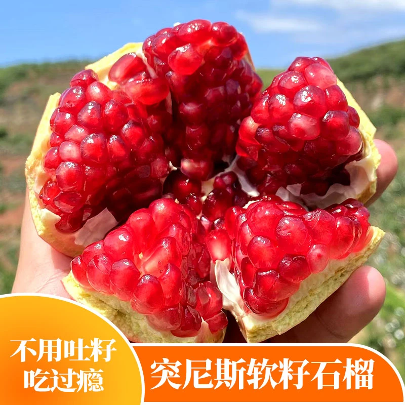 四川会理软籽石榴甜蜜多汁新鲜应季水果包邮发货
