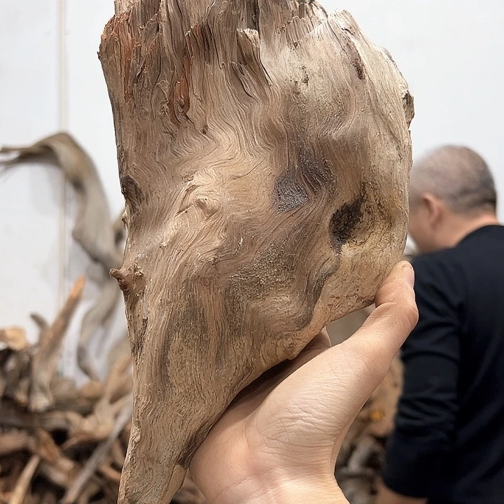 柏木林***闲我们的生活也是如此吧哈哈