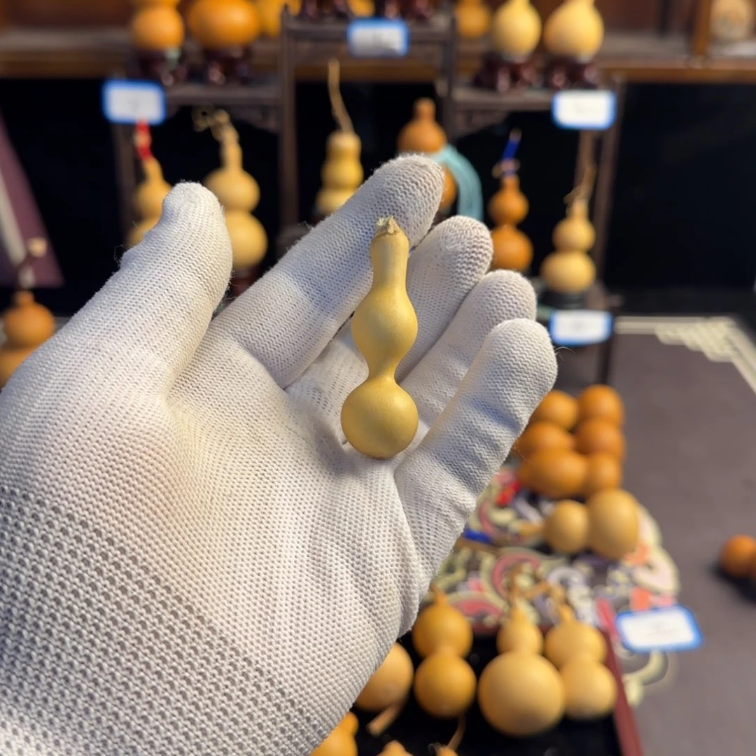 阳***少葫芦头的做法是用来做的吗哈哈