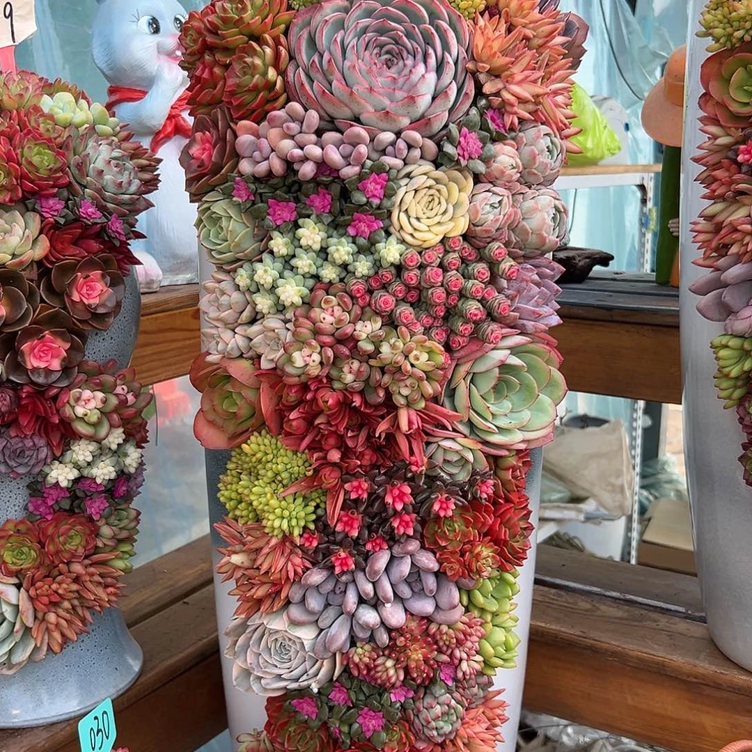 大号520全家福组合花园