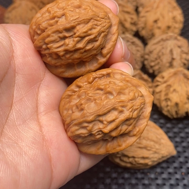 秦岭野生11111111111