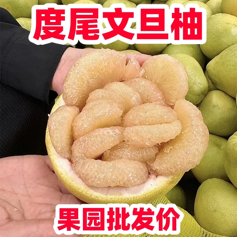 超值老树有孔好果正宗福建仙游度尾文旦柚子新鲜水果批发【杨小妹】