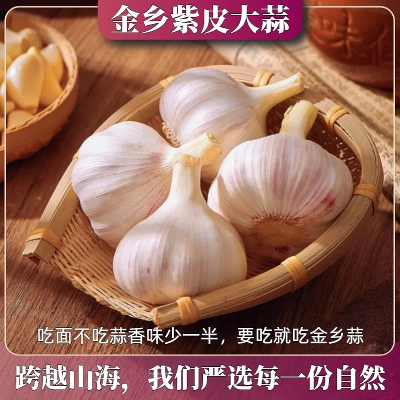 金乡紫皮大蒜出口级太空蒜厨房佐料蒜蓉蒜汁调味品山东特产干大蒜