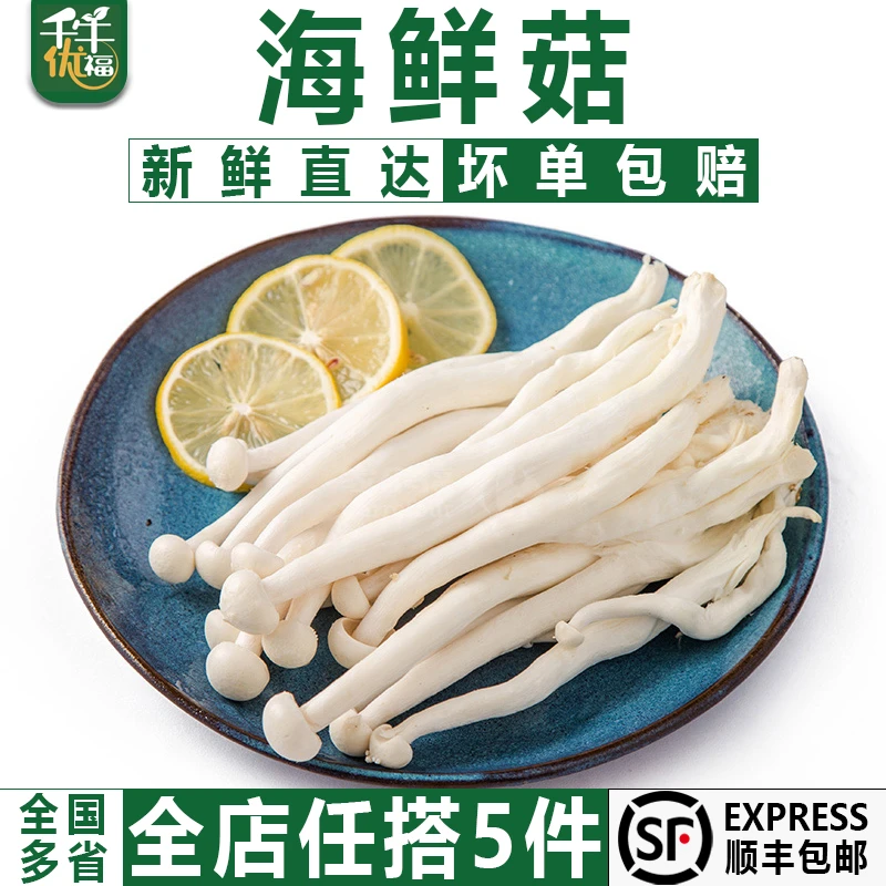 千牛优福海鲜菇鲜嫩菌菇 火锅烧烤炒菜百搭 新鲜蔬菜 现摘先发