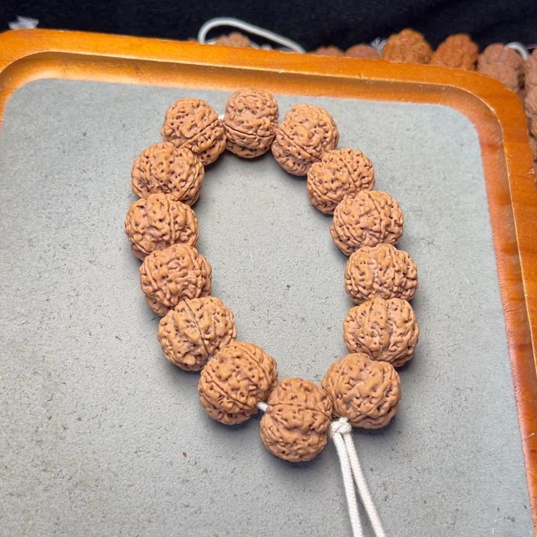 菩提4号金刚菩提梅花23+