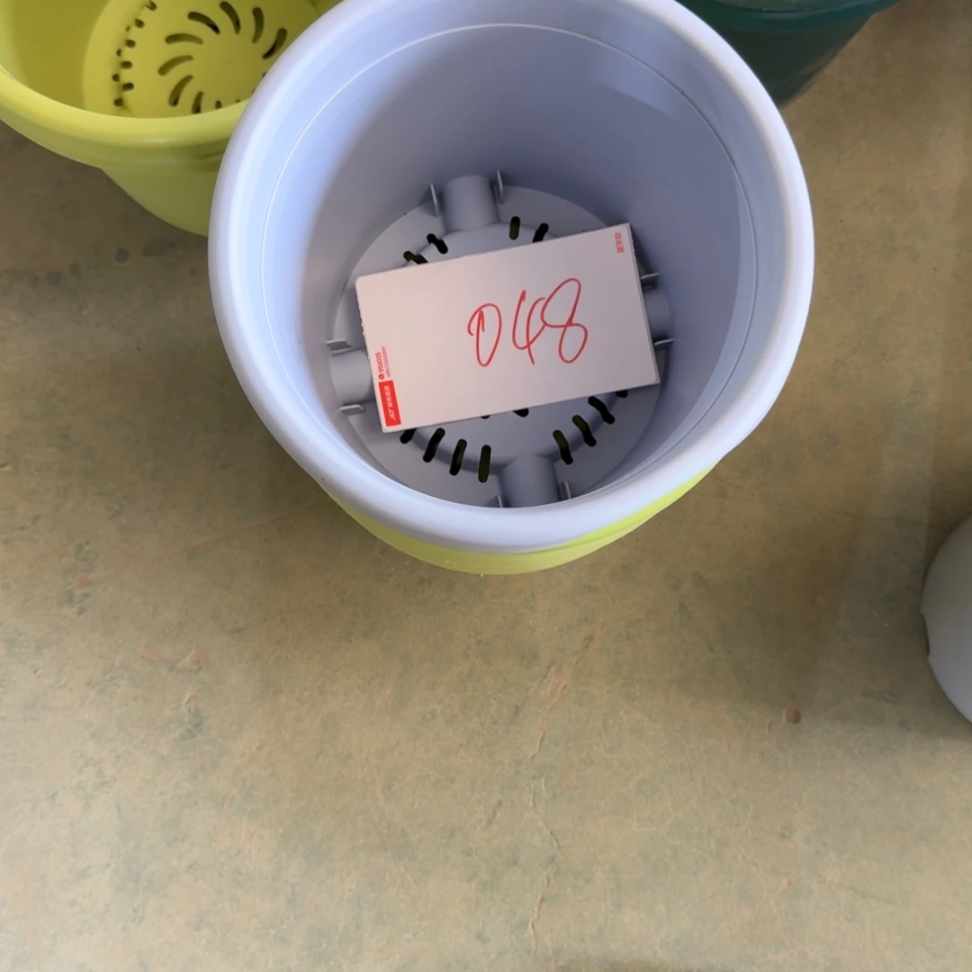 编号是048号的048号的