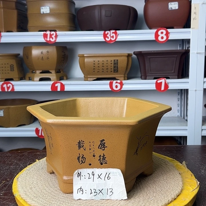 花盆紫砂你在一起