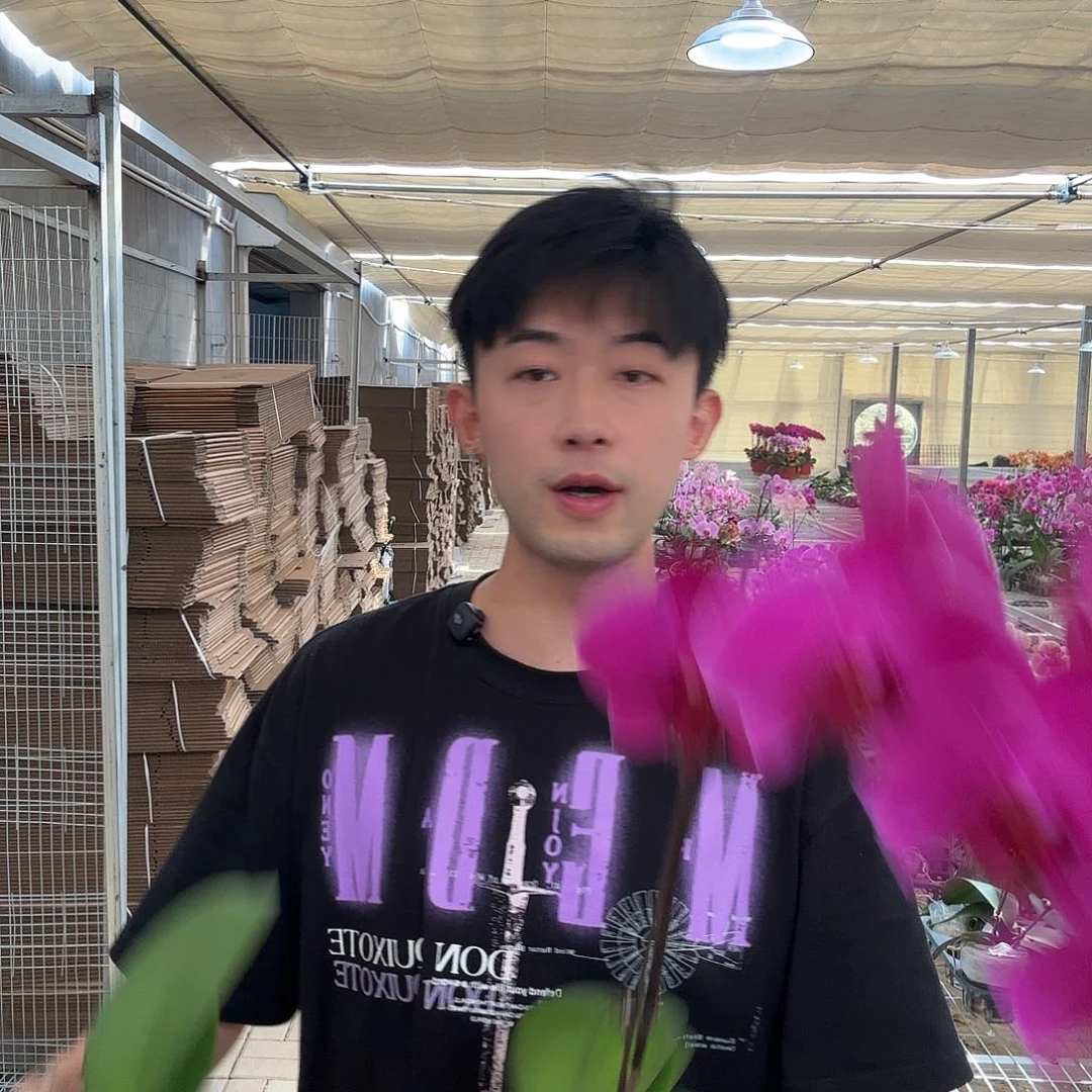 梦***梦完全开放斯泰论博斯