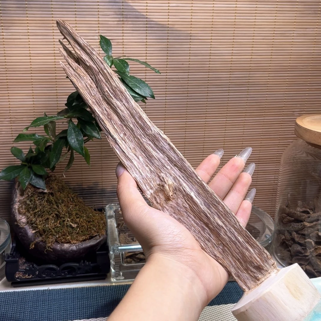 香榧木海南红油虫漏摆件103克开播福利