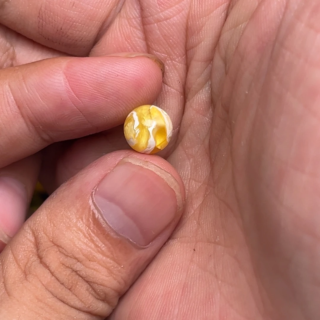 猛***腿裸石琥珀未镶嵌蜜蜡金瓷白8.8