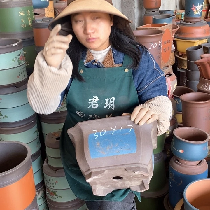 紫砂花盆盆栽花卉苗木种植