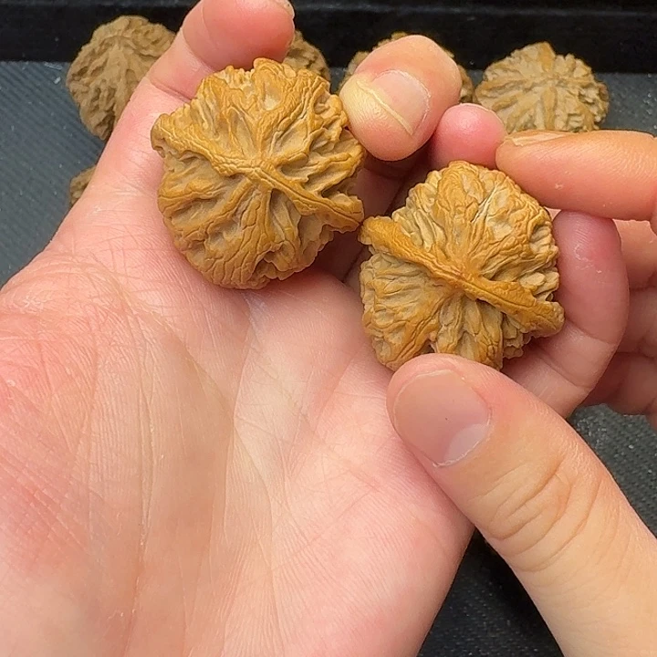 我也不知道我为什么要这样