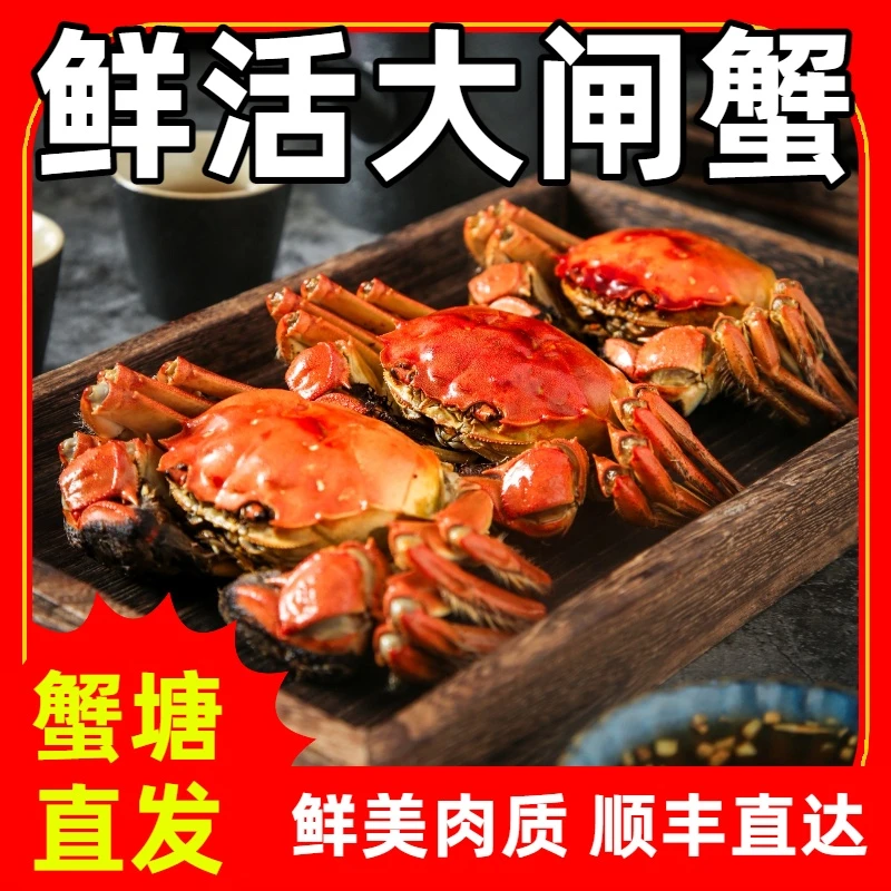 【活蟹现发】江苏大闸蟹3两母，4两公/4对（8只）