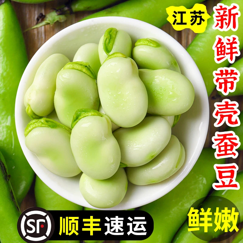 顺丰/5斤带壳新鲜蚕豆胡豆  现摘农家自种带壳蚕豆新鲜蔬菜