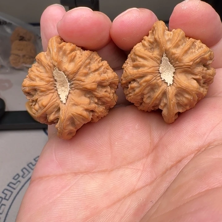 把件桃核山地密纹38尺3