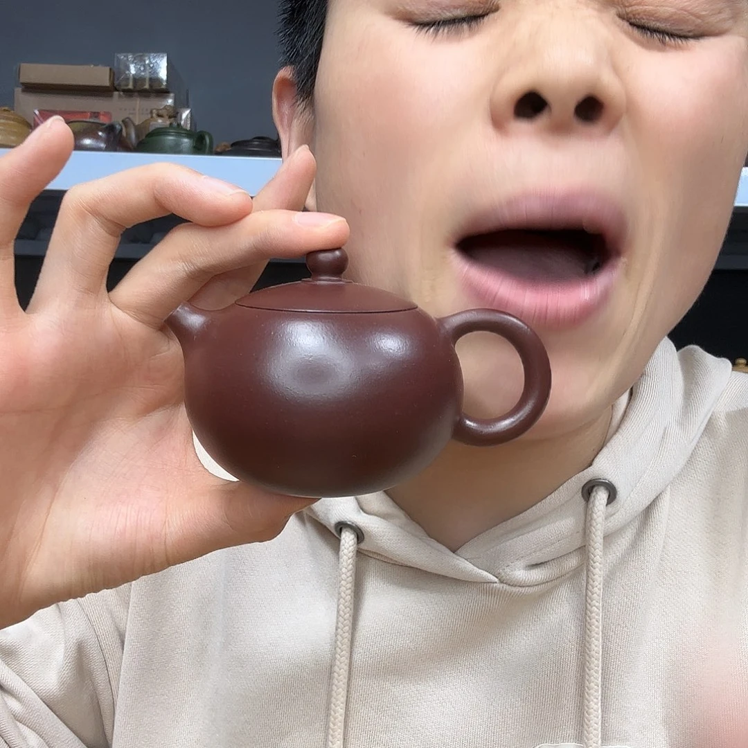 茶壶紫砂民间手艺人全手工制作