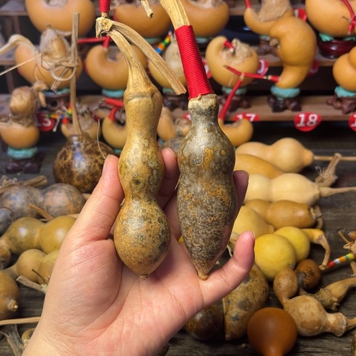 我***话花皮葫芦天天开心