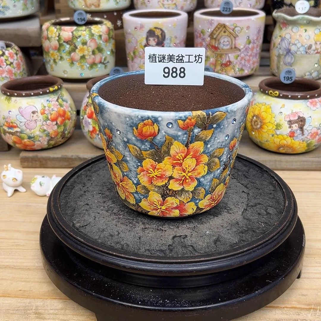 红陶蔚*蓝988福利光房
