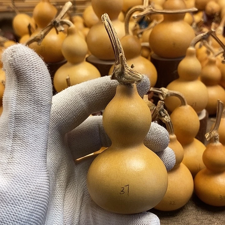 文玩葫芦 完美主义者 慎拍37