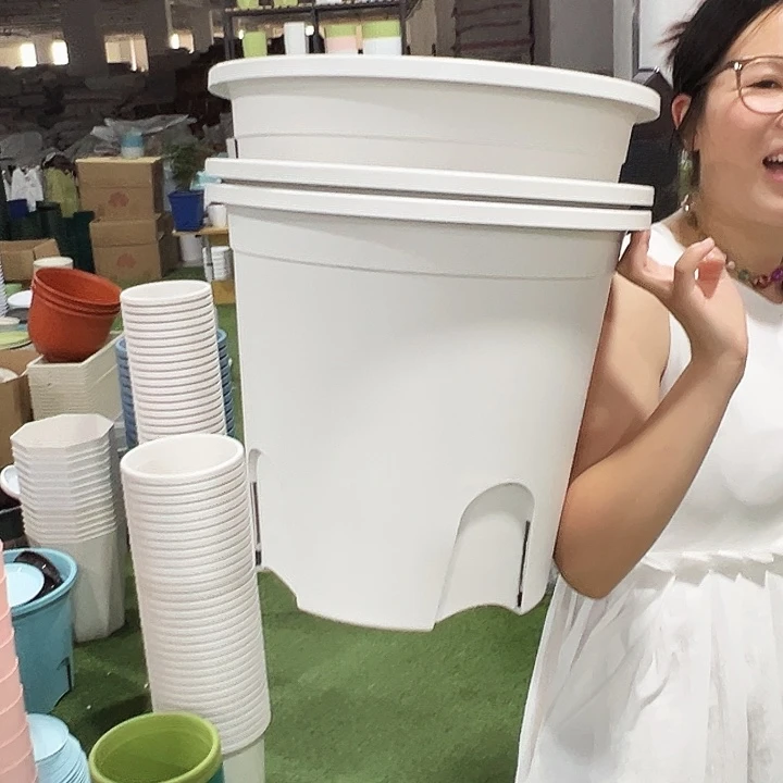 圆形380口38高34白色3个无托