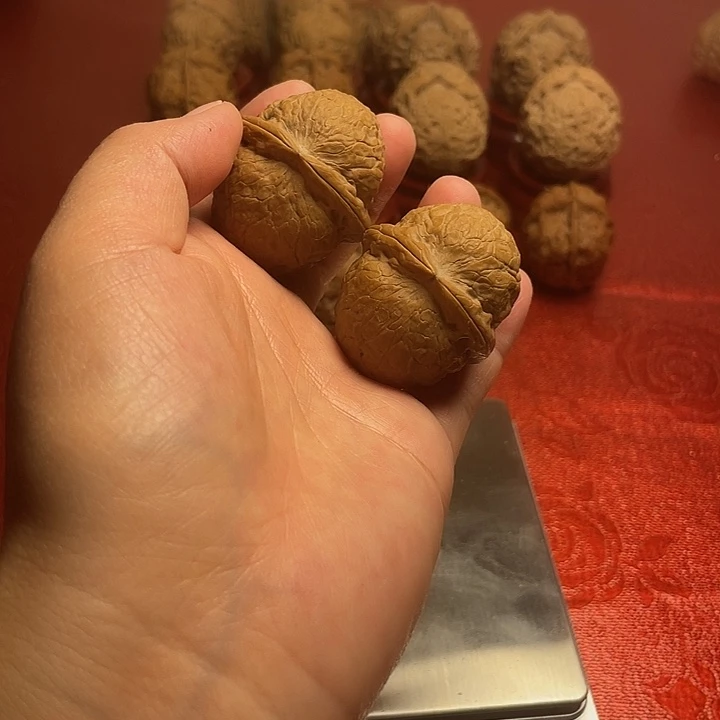 文玩核桃把件两棱元宝21号