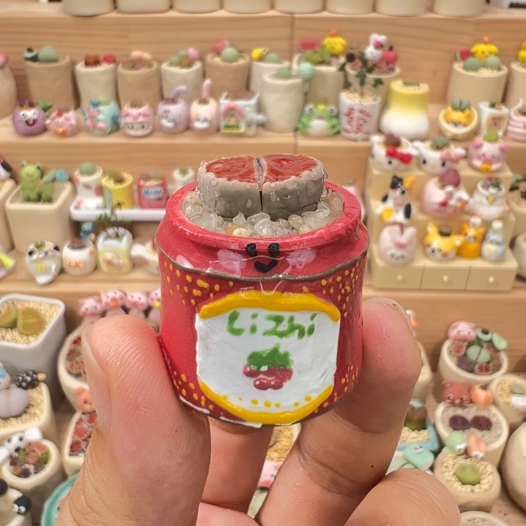多肉植物71号红色