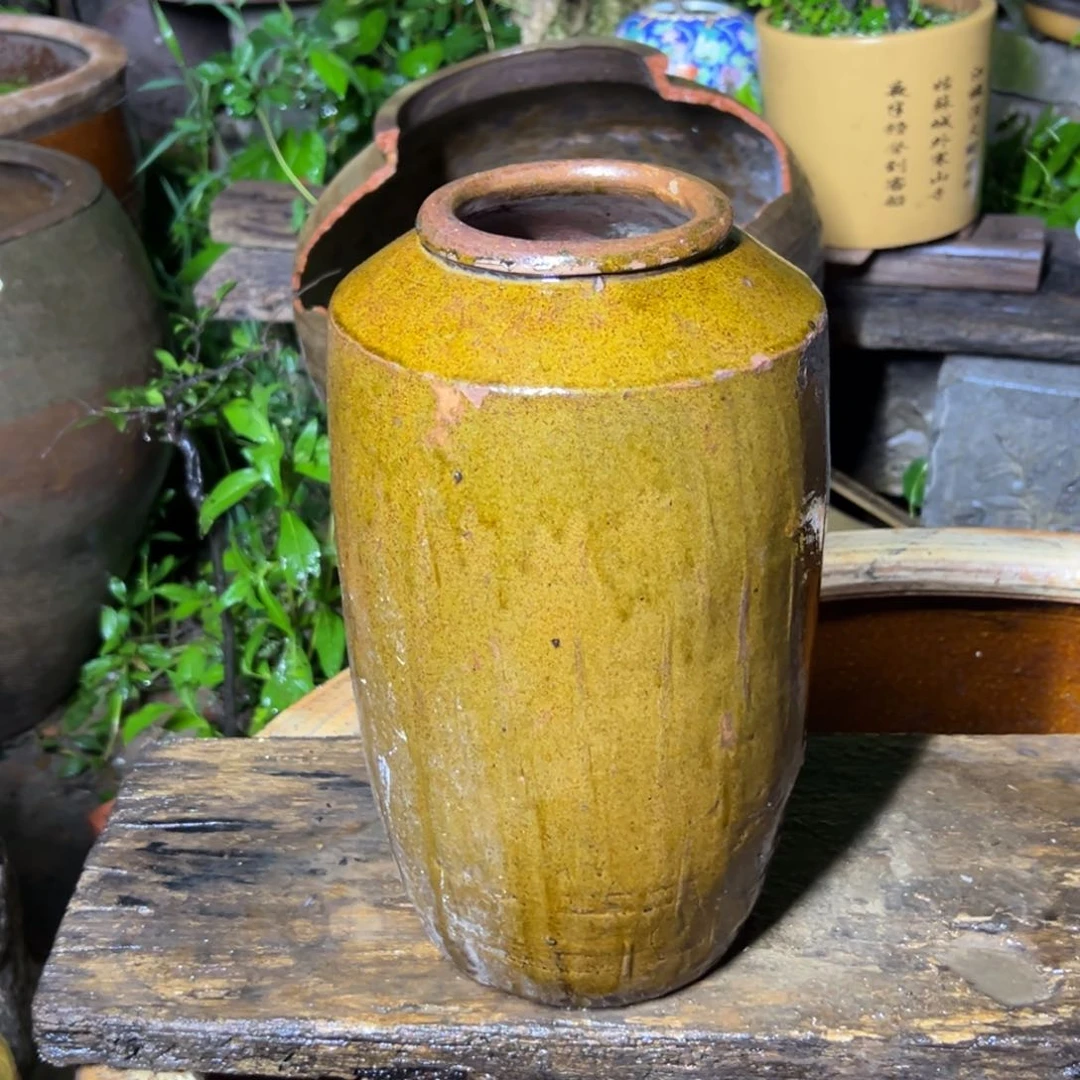 E*J种花一物一拍