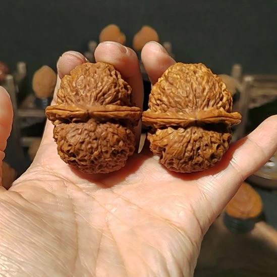 文玩核桃把件福利云铁粗筋44尺
