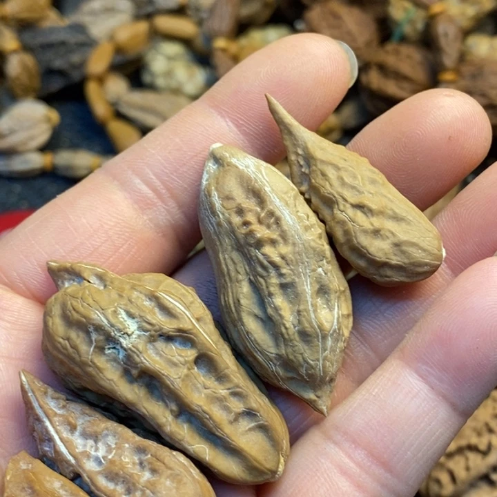 文玩核桃吊坠娜姐76