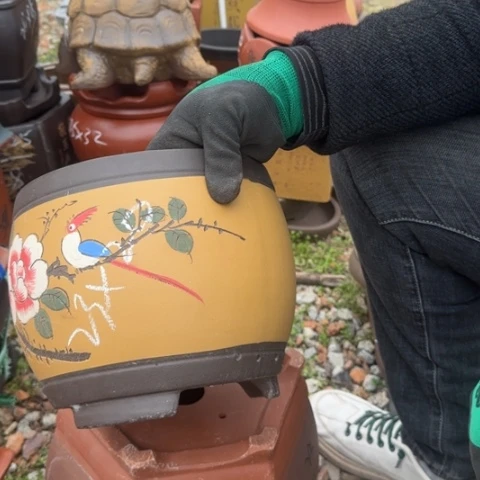 紫砂花盆紫砂花盆盆景盆栽