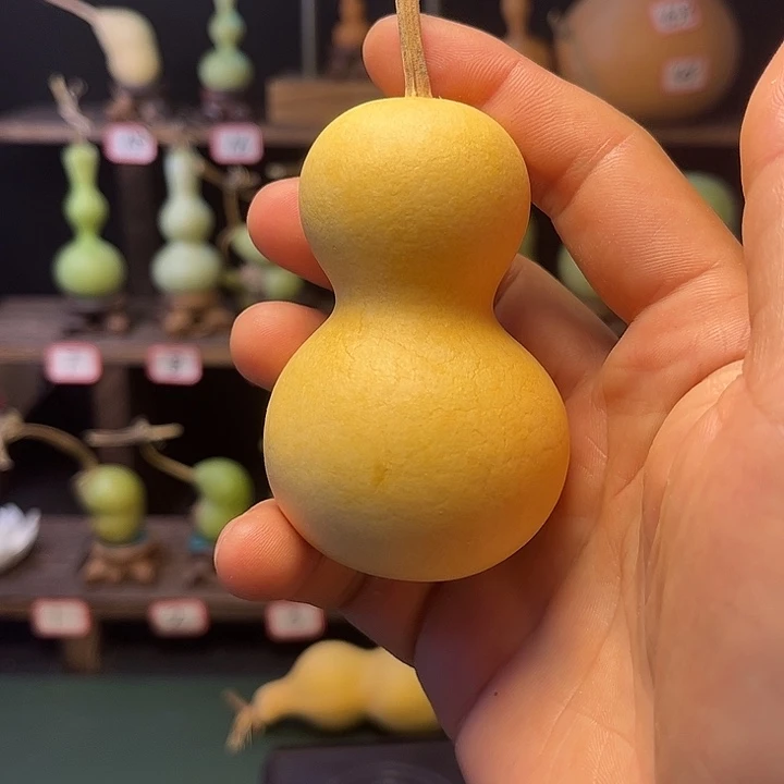 宿*我看图片挺好看的邻居