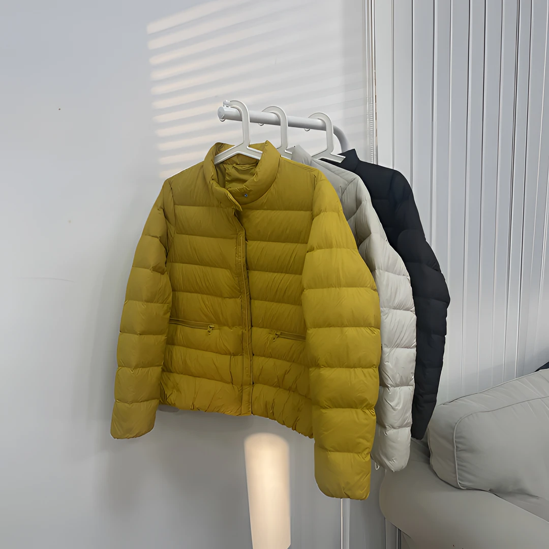 大叔自制 可溯源90白鸭绒立领轻奢潮品羽绒服  DS001