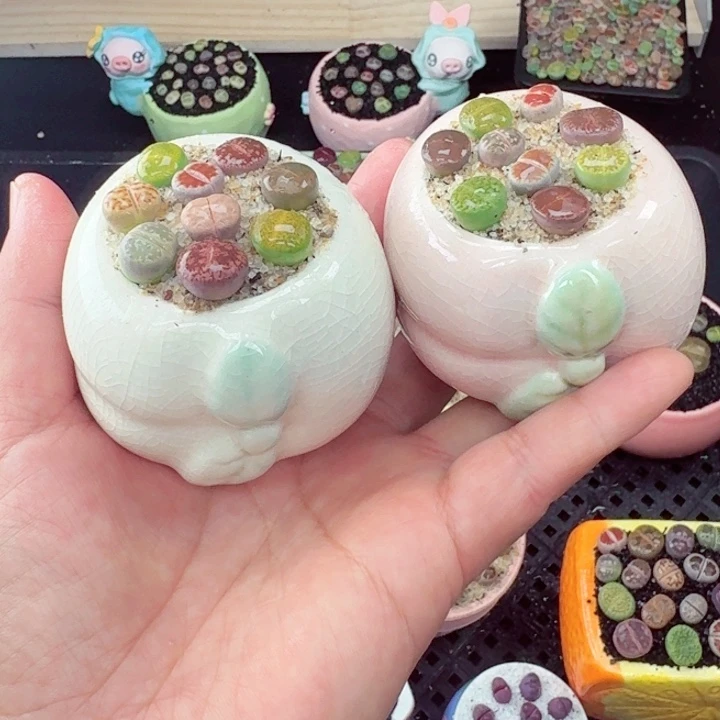 680零下地区记得拍保温箱满18包邮