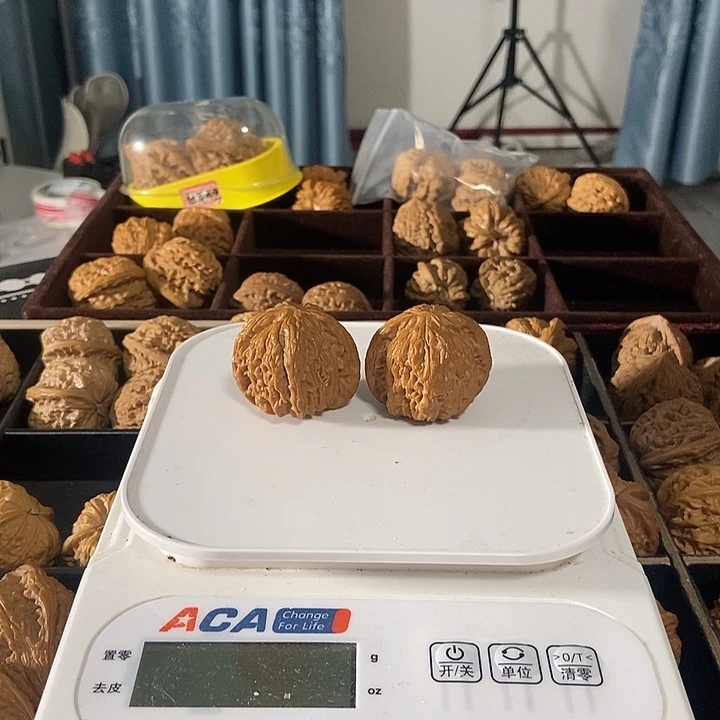 宝***司秦门2234567875556