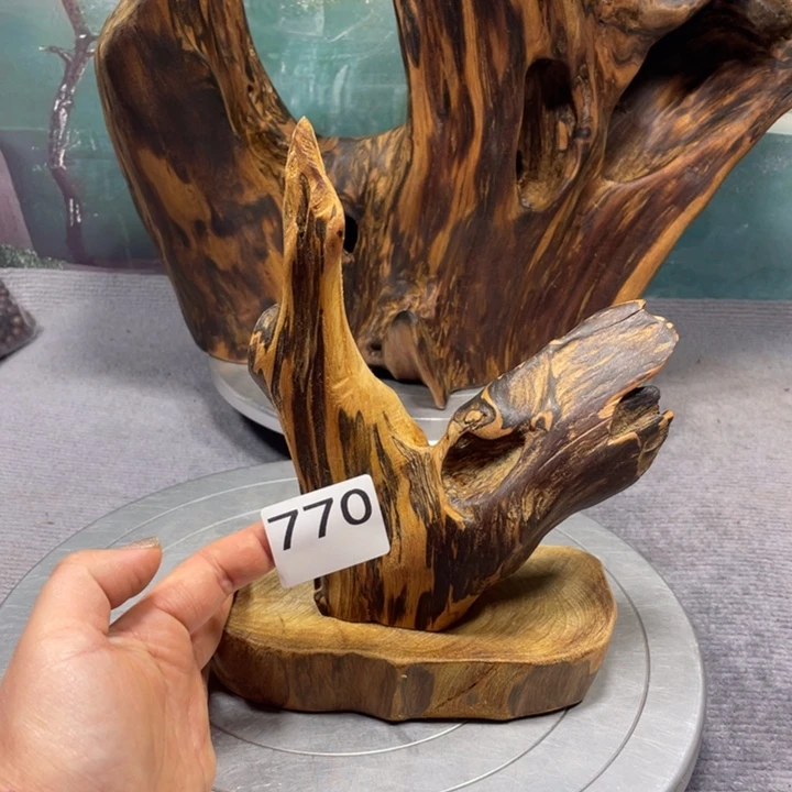 山***丘木直播间一物一图