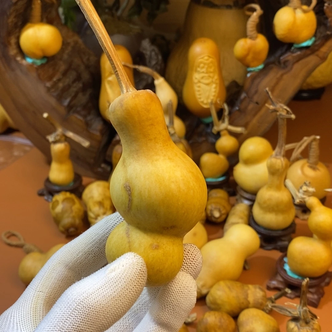 星***号途径考虑考虑教练咯