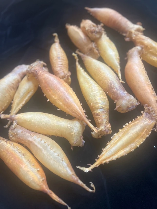 自晒赤嘴筒老胶 湛江鳘鱼胶花胶筒状 干货 纯手工无药洗 陈年老胶