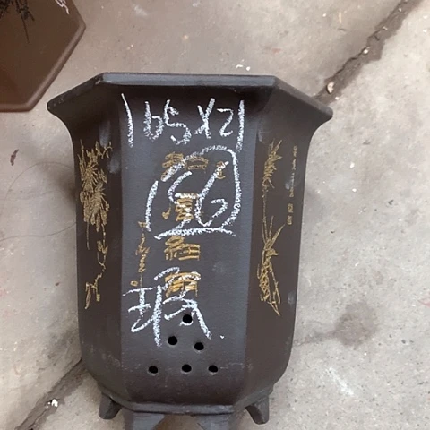 红陶紫砂的花开了