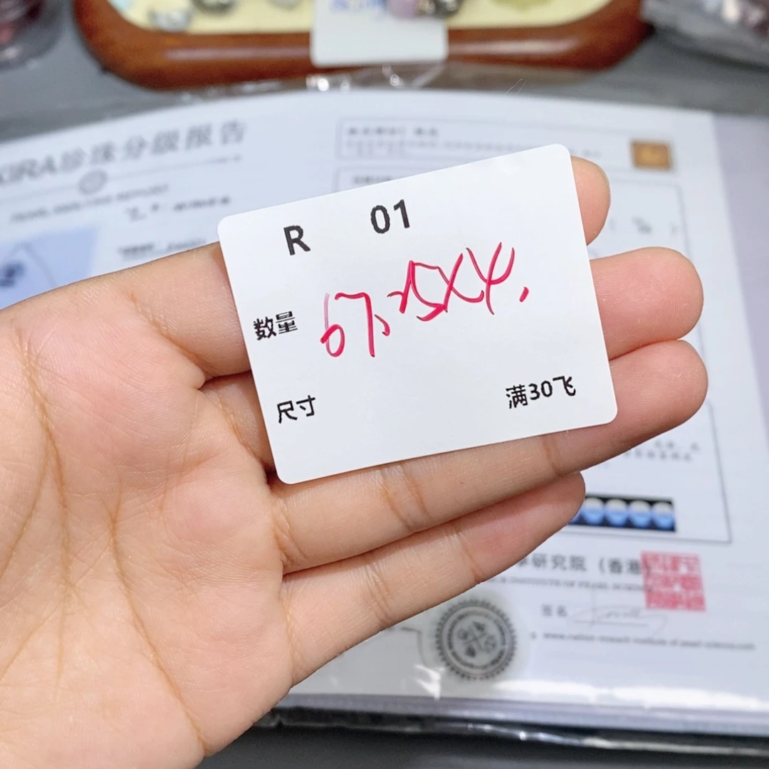 巴****银S925镶嵌颈饰水晶R01