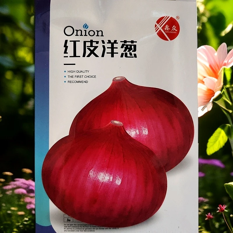 水果型红皮洋葱种子5克(1000粒左右)新老包装随机发