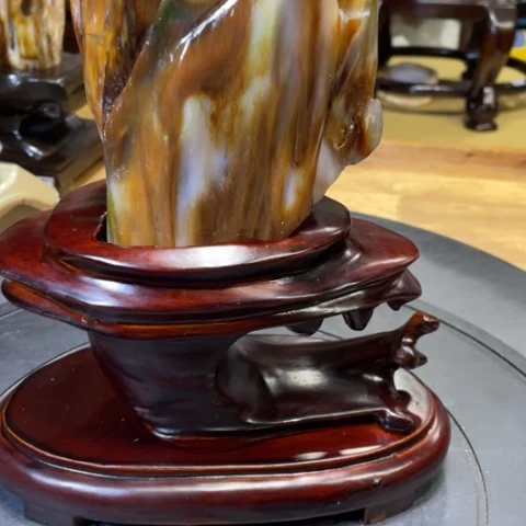 硅化玉未镶嵌树化玉