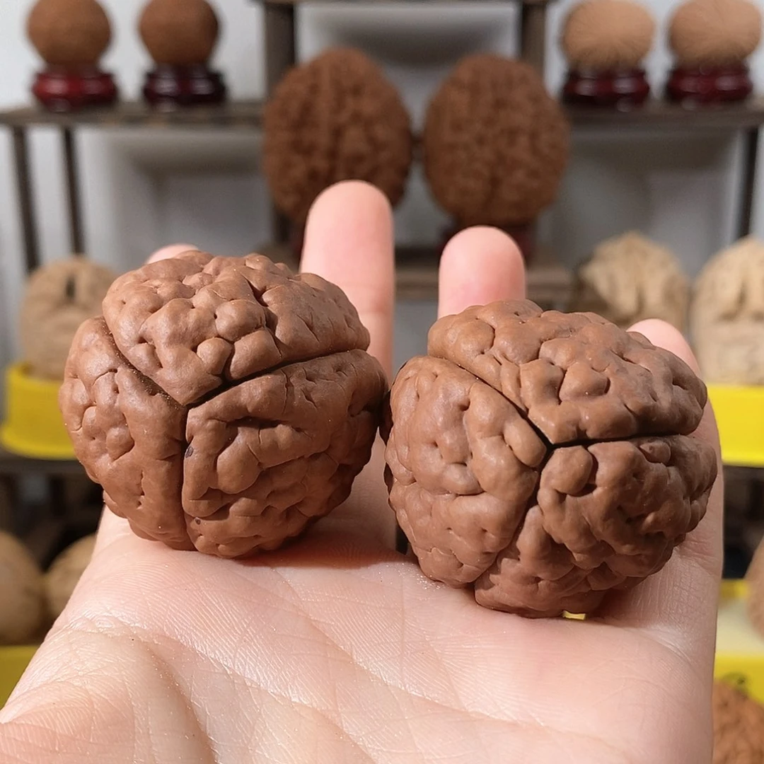 把件文玩核桃夏*.三瓣脑纹金刚4152