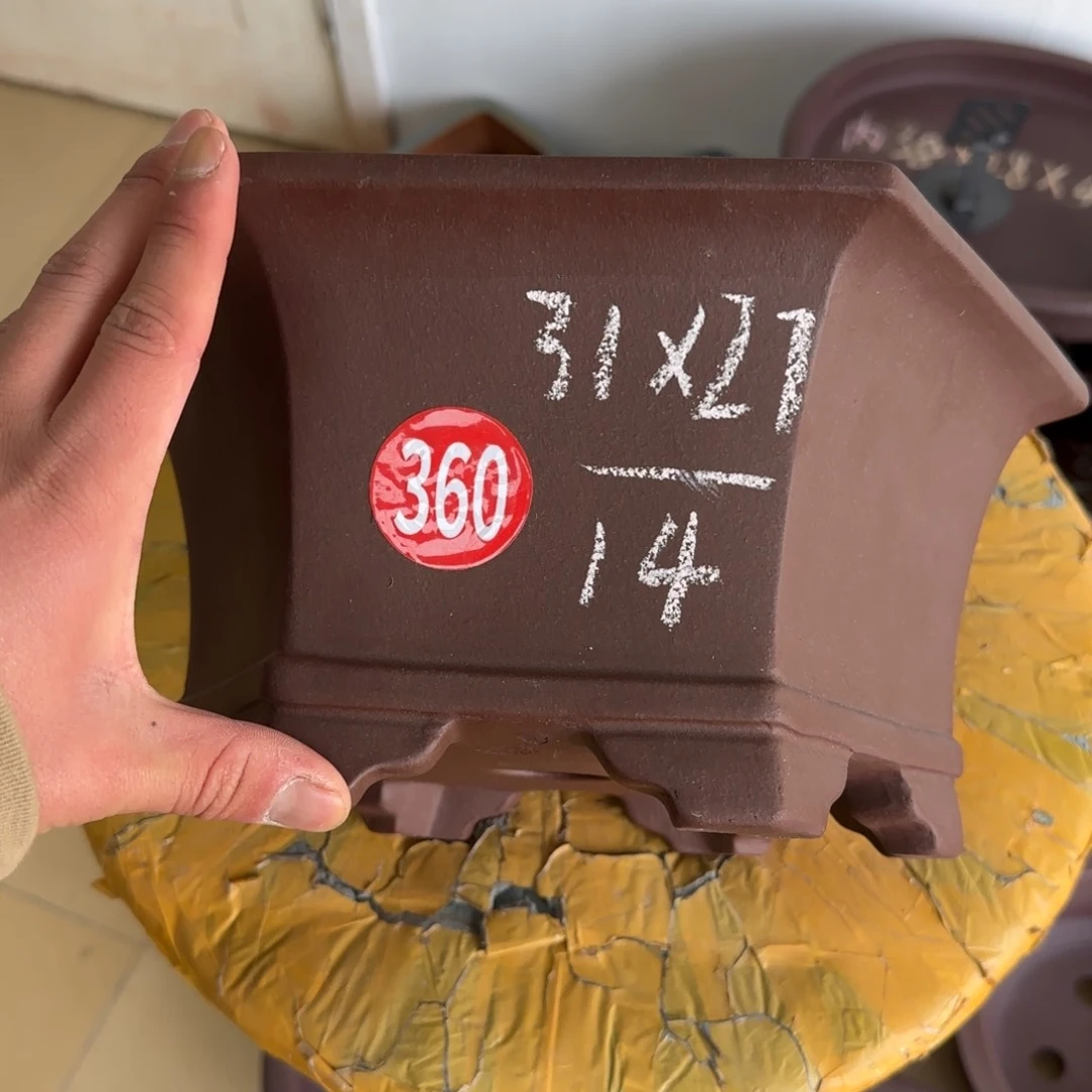 紫砂花盆我呜呜呜呜呜呜