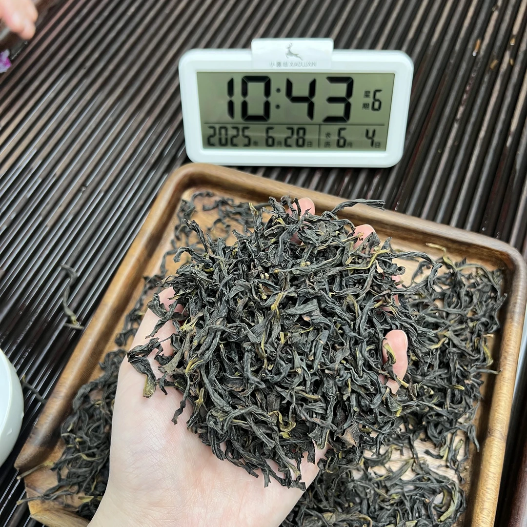 鸭屎香 小鹿收茶广东凤凰单丛  乌龙茶 传统工艺 潮汕 6月28