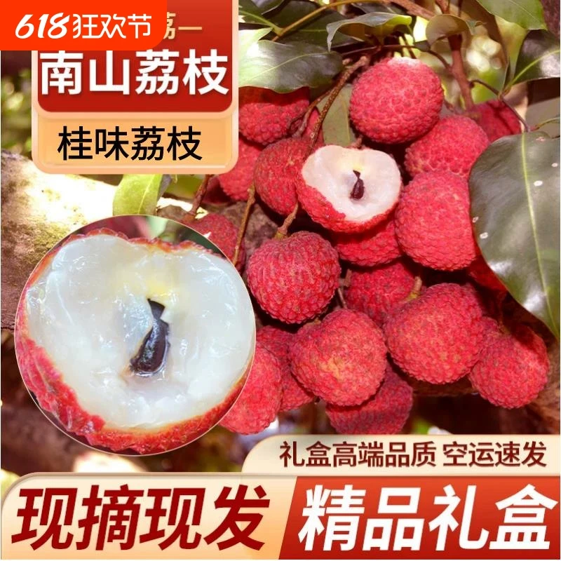 深圳南山荔枝新鲜应季水果现摘现发礼盒老树顺丰广东桂味荔枝特产