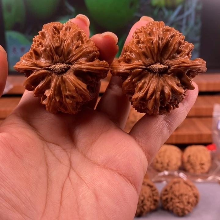 北***鲲文玩核桃把件45三角白