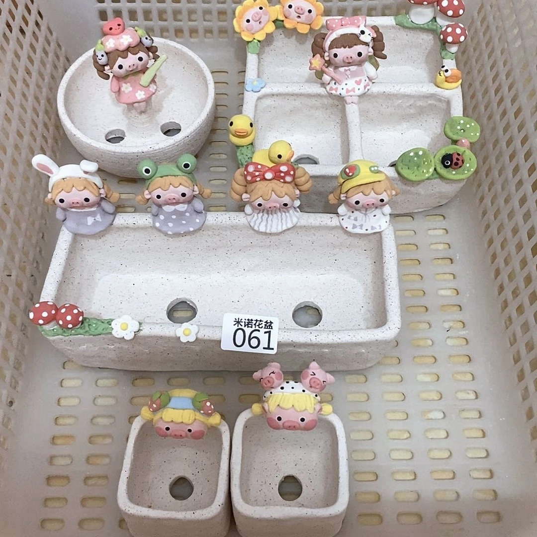 -****y米诺多肉花盆061