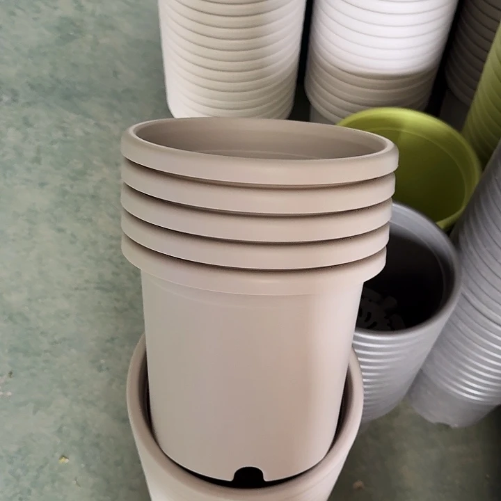 微瑕4#灰白8个无托